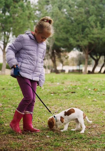 Ans Fille Marche Avec Chiot Dans Parc — Photo