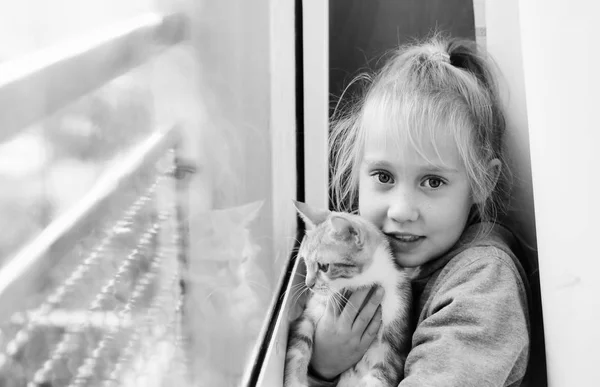 Portrait Adorable Little Girl Kitten Window — Stock Photo, Image