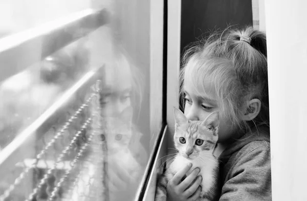 Portrait Une Adorable Petite Fille Avec Chaton — Photo