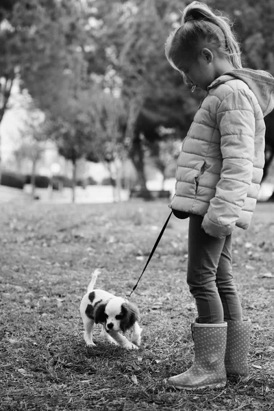 年の古い女の子を公園で子犬と歩いています — ストック写真