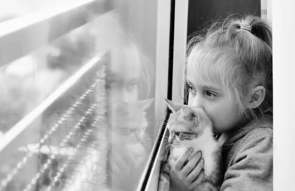 Pencerenin Yanında Yavru Kedi Ile Sevimli Bir Küçük Kız Portresi — Stok fotoğraf