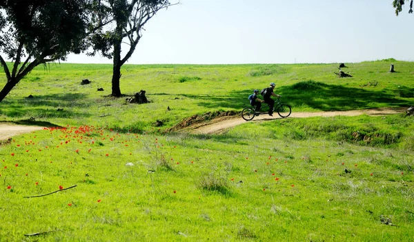 Padre con hijo paseo en bicicleta —  Fotos de Stock