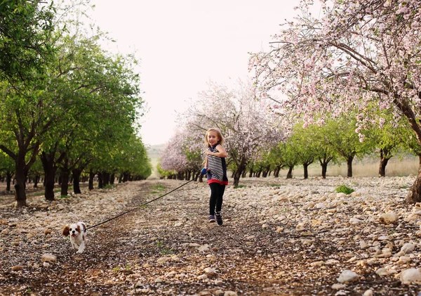 Little girl walking with puppy — Stock Photo, Image