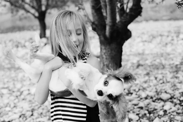 Little girl playing with puppy — Stock Photo, Image