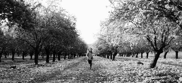 Little girl walking with puppy — Stock Photo, Image