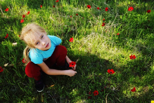 Little girl sitting on meadow — Stock Photo, Image