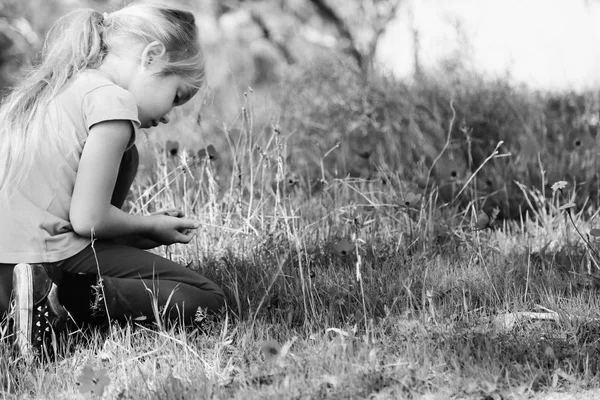 Little girl sitting on meadow — Stock Photo, Image