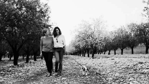 Vackra Kvinnor Promenader Vår Apple Trädgård Med Hund — Stockfoto