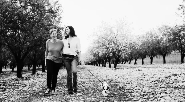 Красивые Женщины Гуляющие Весеннем Яблочном Саду Собакой — стоковое фото