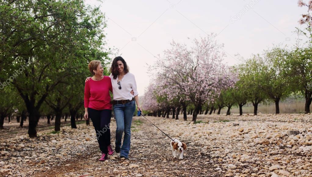 beautiful women walking in spring apple garden with dog 