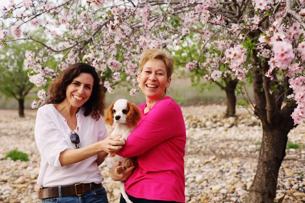 Güzel kadınlar şirin köpek yavrusu ile çiçek açması bahar elma bahçesinde ellerinde yürüyüş portresi