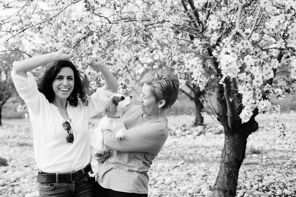 Retrato Mujeres Hermosas Caminando Floreciente Jardín Manzanas Primavera Con Lindo — Foto de Stock