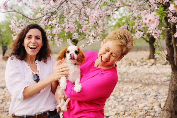 Porträt Schöner Frauen Die Blühenden Frühlingsäpfeln Garten Mit Niedlichen Welpen — Stockfoto