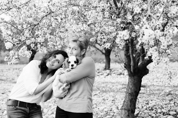 Retrato Mulheres Bonitas Andando Jardim Maçãs Primavera Florescente Com Filhote — Fotografia de Stock