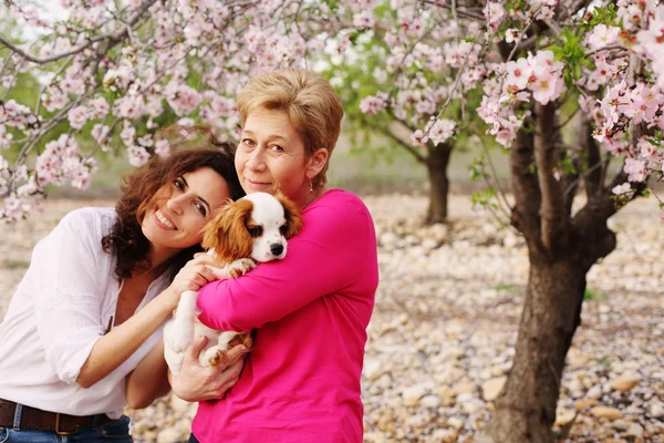 Portrait Beautiful Women Walking Blossoming Spring Apples Garden Cute Puppy — Stock Photo, Image