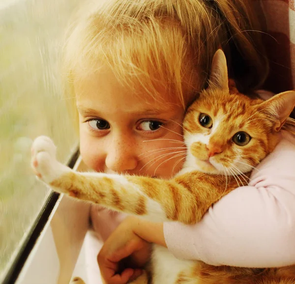 Portrait Seven Years Old Girl Holding Cute Red Cat — Stock Photo, Image