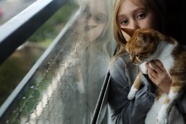 Retrato Anos Menina Com Gato — Fotografia de Stock