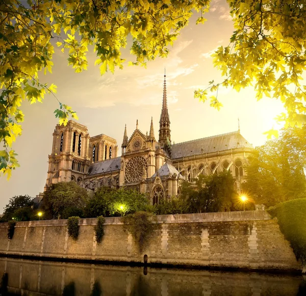 Notre Dame in France — Stock Photo, Image