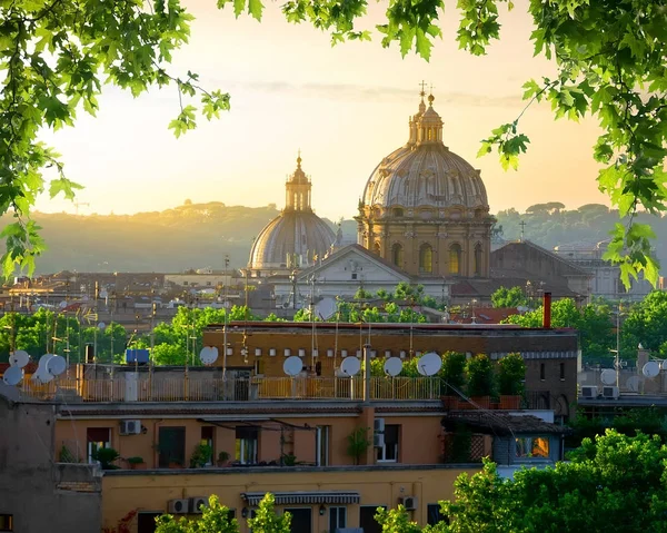Vaticano e natura — Foto Stock