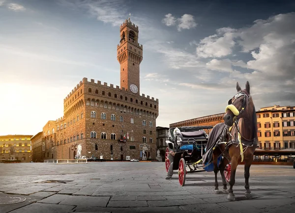 Pferd auf der Piazza della Signoria — Stockfoto
