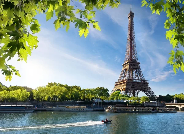 Seine en Eiffel tower Rechtenvrije Stockfoto's