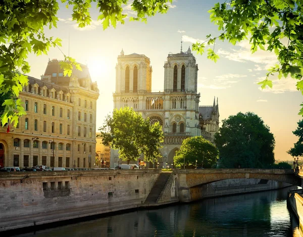 Notre Dame cathedral — Stock Photo, Image