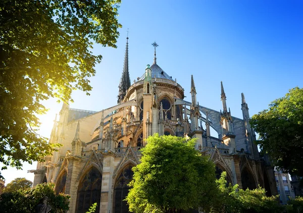 Notre dame bij zonsopgang — Stockfoto