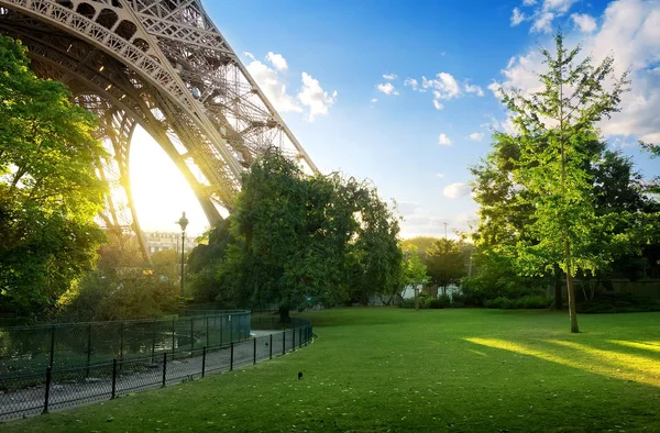 Weide in de buurt van Eiffel Tower — Stockfoto