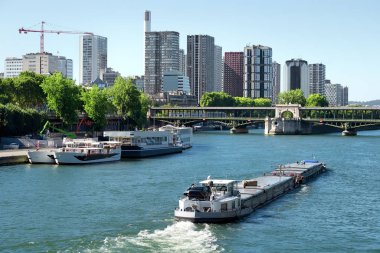 Gökdelenler ve Seine