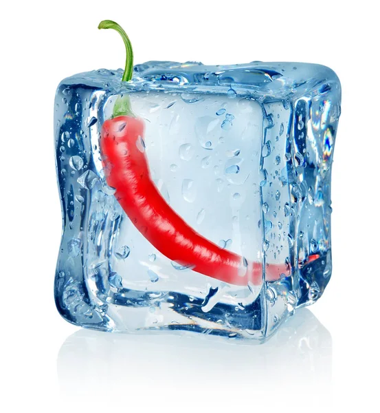 Chili peper in ijsblokje — Stockfoto