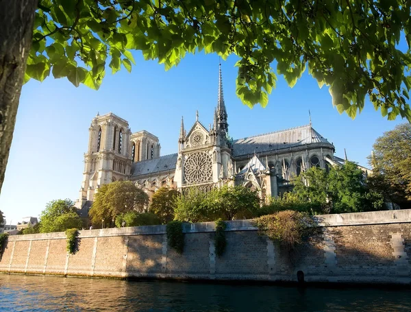 Maestosa Notre Dame — Foto Stock