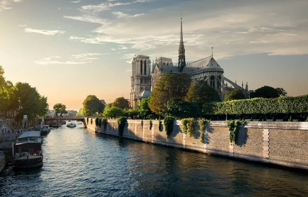 Notre-Dame på morgonen — Stockfoto