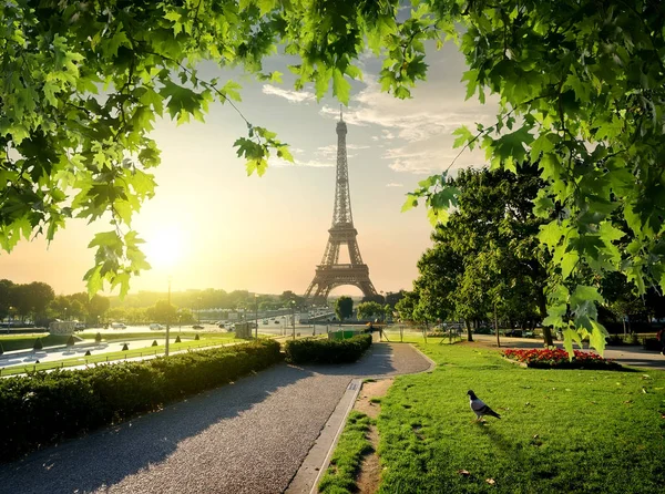 Jardins do Trocadero — Fotografia de Stock