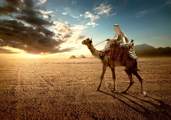 Beduino al atardecer — Foto de Stock