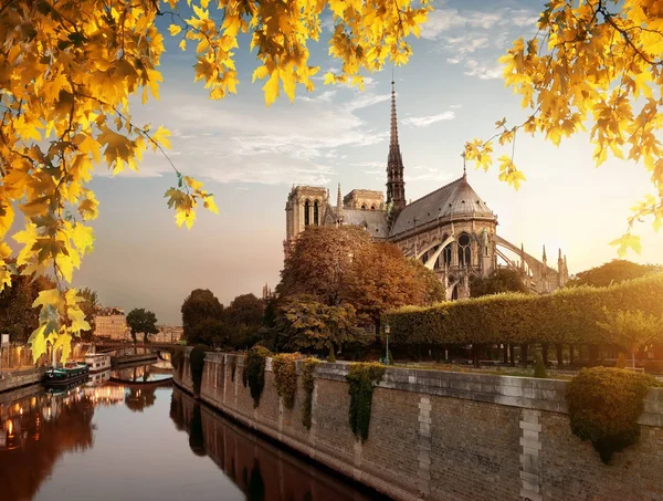 Notre Dame och park i höst — Stockfoto