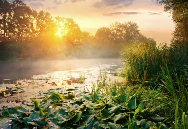 sunrise, nehir