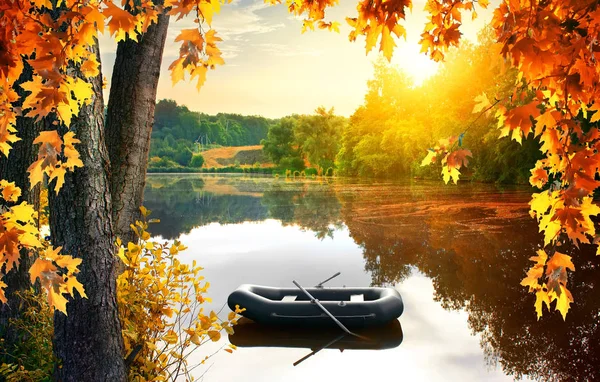연못에 있는 배 — 스톡 사진