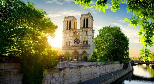 Notre Dame på Seine — Stockfoto