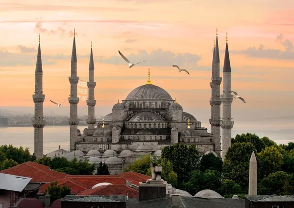 Blaue Moschee und Bosporus — Stockfoto