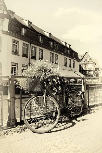 Kole v Štrasburku — Stock fotografie