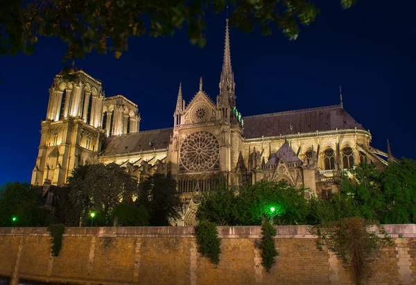 Cathédrale la nuit — Photo