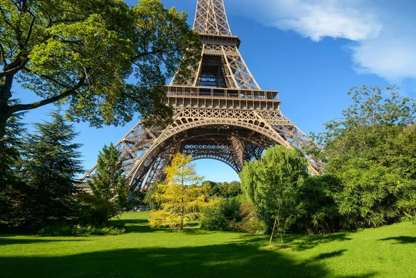 Träd i park i Paris — Stockfoto