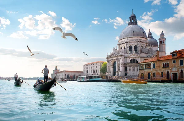 Måsar över Grand Canal — Stockfoto