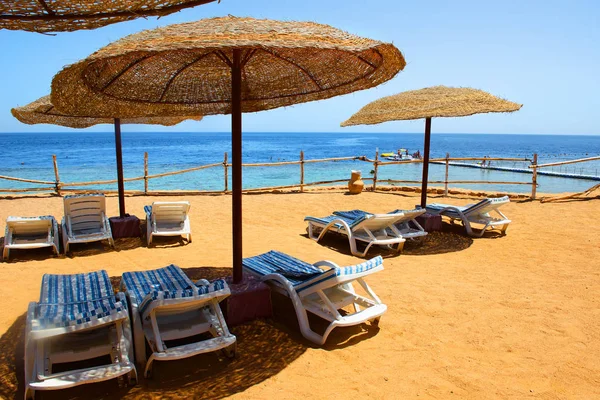 Пляж Красного моря — стоковое фото