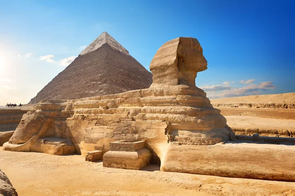 Сфінкс та піраміди — стокове фото