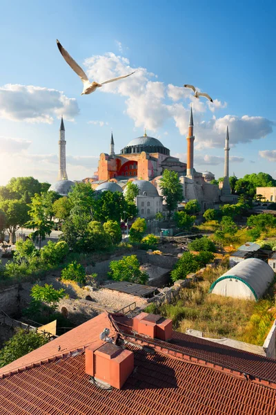 Стамбул в сонячний день — стокове фото