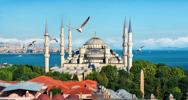 Blaue Moschee in der Türkei — Stockfoto