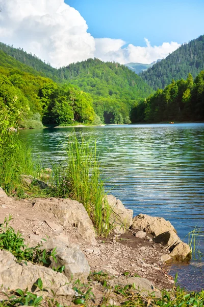 Lago en parque de Montenegro —  Fotos de Stock