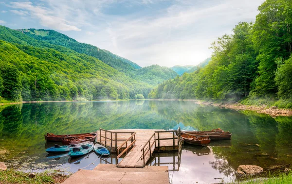 Lago Biogradska en Parque Nacional —  Fotos de Stock