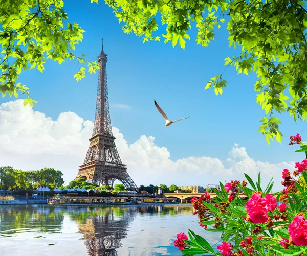Eiffeltoren en bloemen — Stockfoto